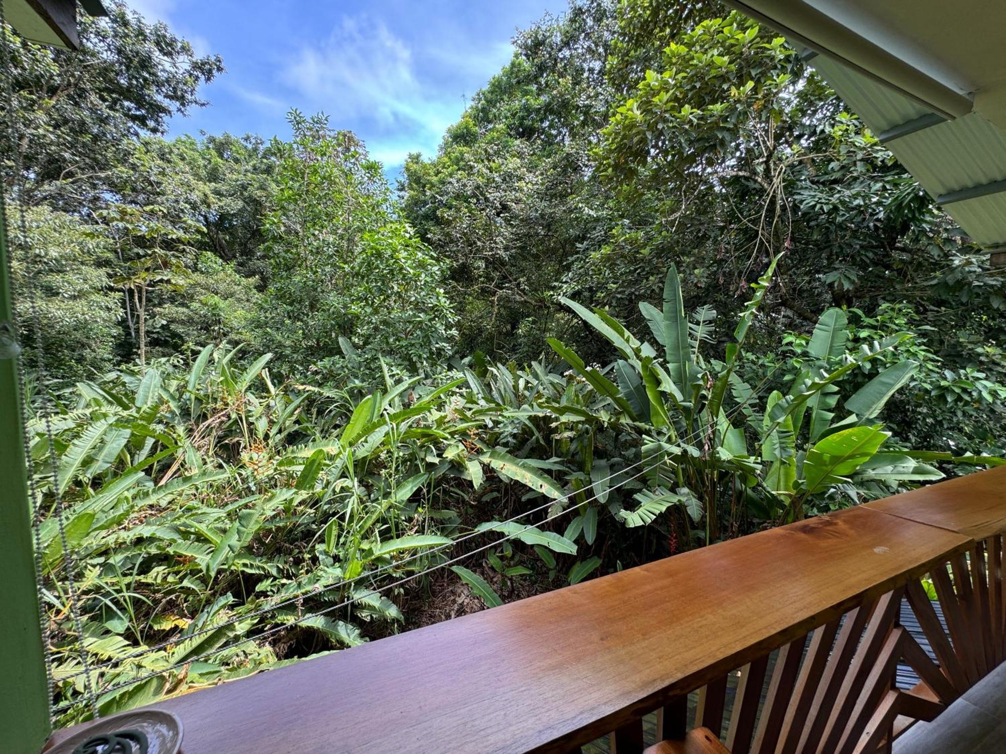 Chilamate Room Tortuguero Buitenkant foto